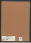 Navicula mutica Kuetz. (de-Toni-Nr.: Genus 1, Species 397) Zeichnungen Sammlung Grunow Mappe 00364 (Herbarium_W_Grunow_drawings_Folder_00364)